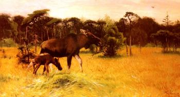 Friedrich Wilhelm Kuhnert : Moose With Her Calf In A Landscape